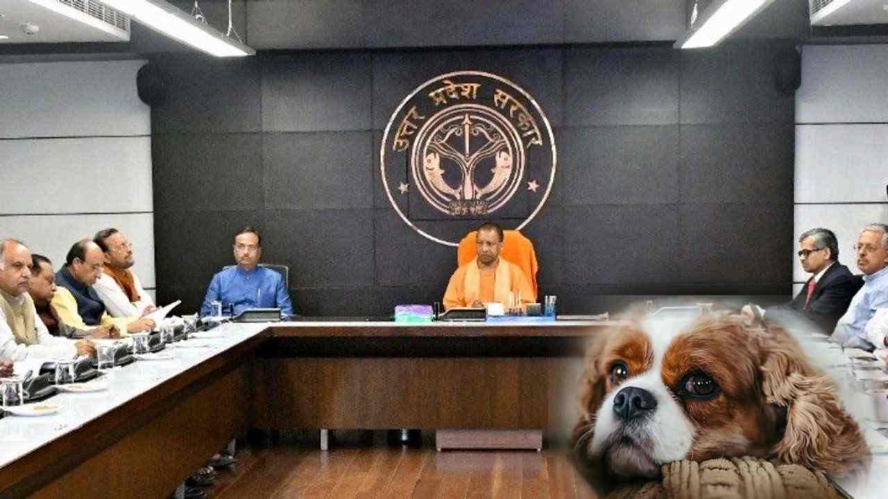 Pet Dog License: పెంపుడు కుక్కలకు లైసెన్స్ తప్పనిసరి, లేదంటే రూ.5వేలు ఫైన్ Pet Dog License: పెంపుడు కుక్కలకు లైసెన్స్ తప్పనిసరి, లేదంటే రూ.5వేలు ఫైన్