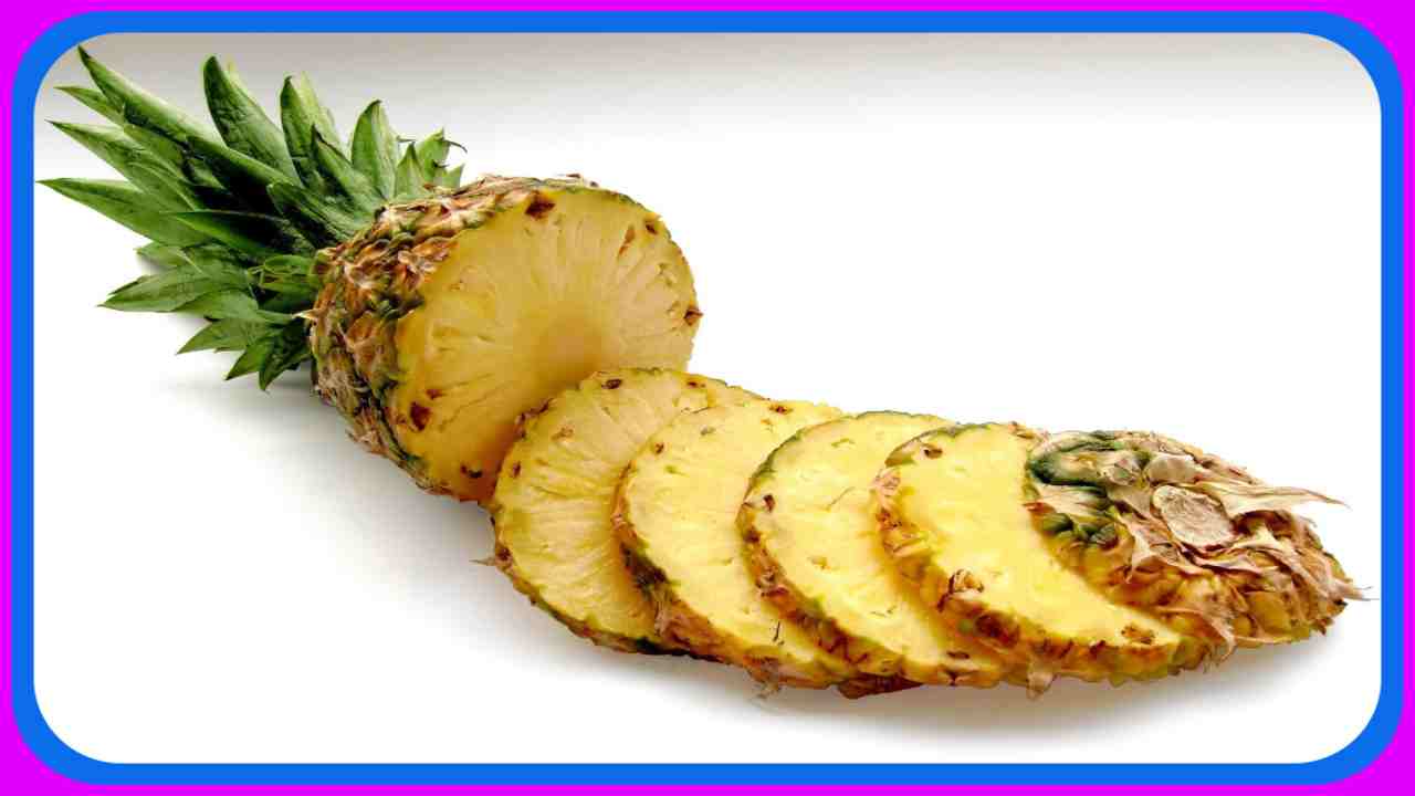 Pineapple : బరువు తగ్గించటంతోపాటు, బీపీని నియంత్రించే పైనాపిల్! Pineapple : బరువు తగ్గించటంతోపాటు, బీపీని నియంత్రించే పైనాపిల్!