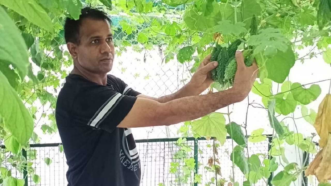 Urban Farming: తన మూడంతస్థుల ఇంటిలో 10,000 మొక్కలు పెంచుతున్న ఉత్తరప్రదేశ్ వాసి Urban Farming: తన మూడంతస్థుల ఇంటిలో 10,000 మొక్కలు పెంచుతున్న ఉత్తరప్రదేశ్ వాసి