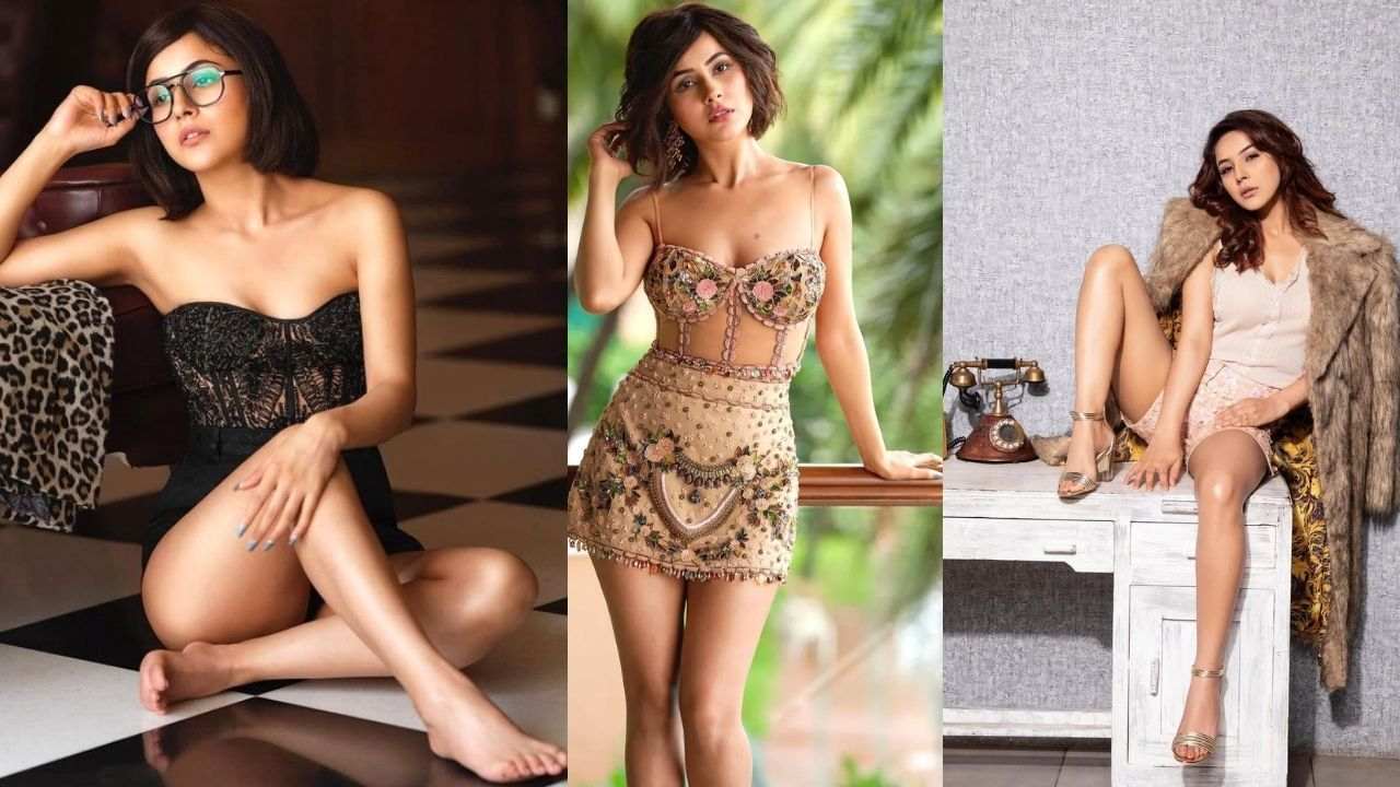 Shehnaaz Gill: నెట్టింట్లో తుఫాను రేపుతున్న బిగ్ బాస్ బ్యూటీ షెహనాజ్