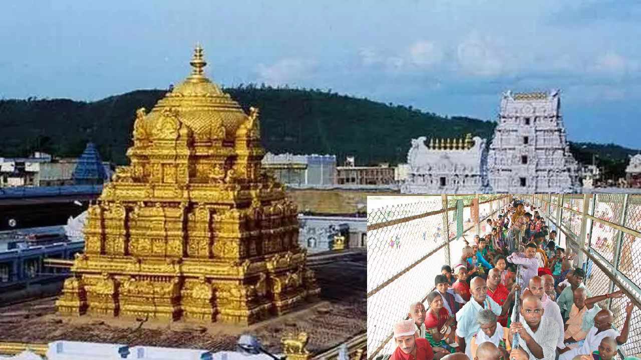 Tirumala Rush: తిరుమలలో పోటెత్తిన భక్తజనం: భక్తులు తిరుమల యాత్రను వాయిదా వేసుకోవాలన్న టీటీడీ అధికారులు Tirumala Rush: తిరుమలలో పోటెత్తిన భక్తజనం: భక్తులు తిరుమల యాత్రను వాయిదా వేసుకోవాలన్న టీటీడీ అధికారులు