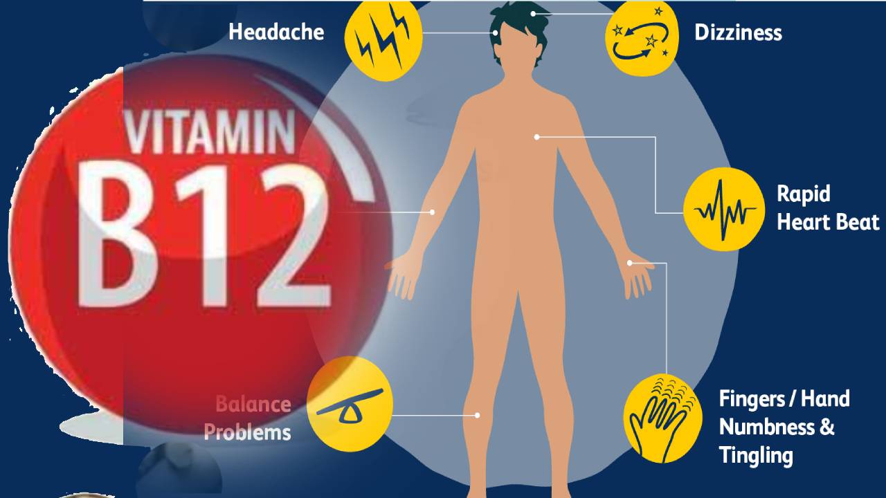 Vitamin B12: శరీరంలో విటమిన్ B12 లోపించడం అంత ప్రమాదమా.. Vitamin B12: శరీరంలో విటమిన్ B12 లోపించడం అంత ప్రమాదమా..