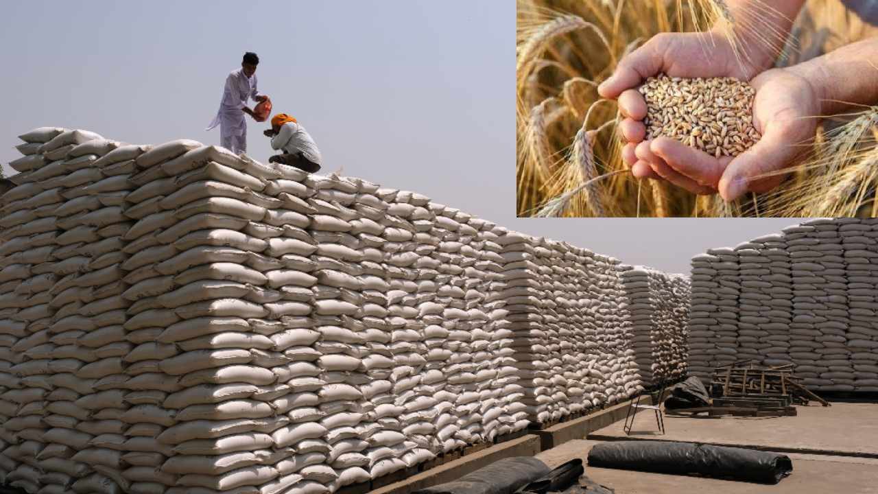 Wheat Exports: గోధుమల దిగుమతి కోసం భారత్ను సంప్రదిస్తున్న అనేక దేశాలు Wheat Exports: గోధుమల దిగుమతి కోసం భారత్ను సంప్రదిస్తున్న అనేక దేశాలు
