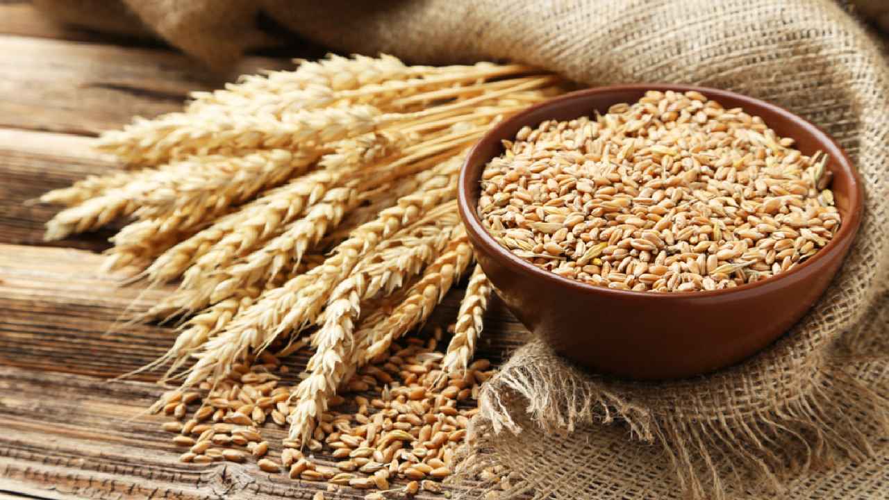 wheat export: గోధుమ ఎగుమతులపై భారత్ నిషేధం wheat export: గోధుమ ఎగుమతులపై భారత్ నిషేధం