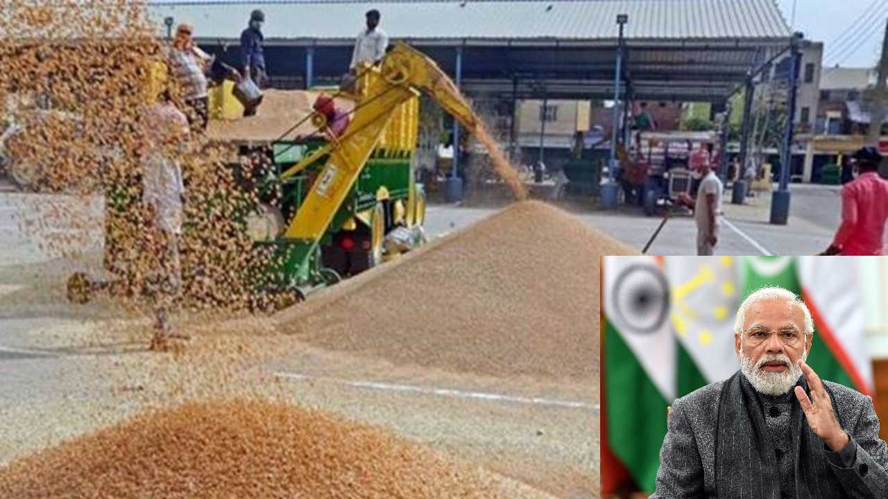 Wheat Export Banned: గోధుమల ఎగుమతిని తక్షణమే నిషేదిస్తున్నట్టు ప్రకటించిన భారత్ Wheat Export Banned: గోధుమల ఎగుమతిని తక్షణమే నిషేదిస్తున్నట్టు ప్రకటించిన భారత్