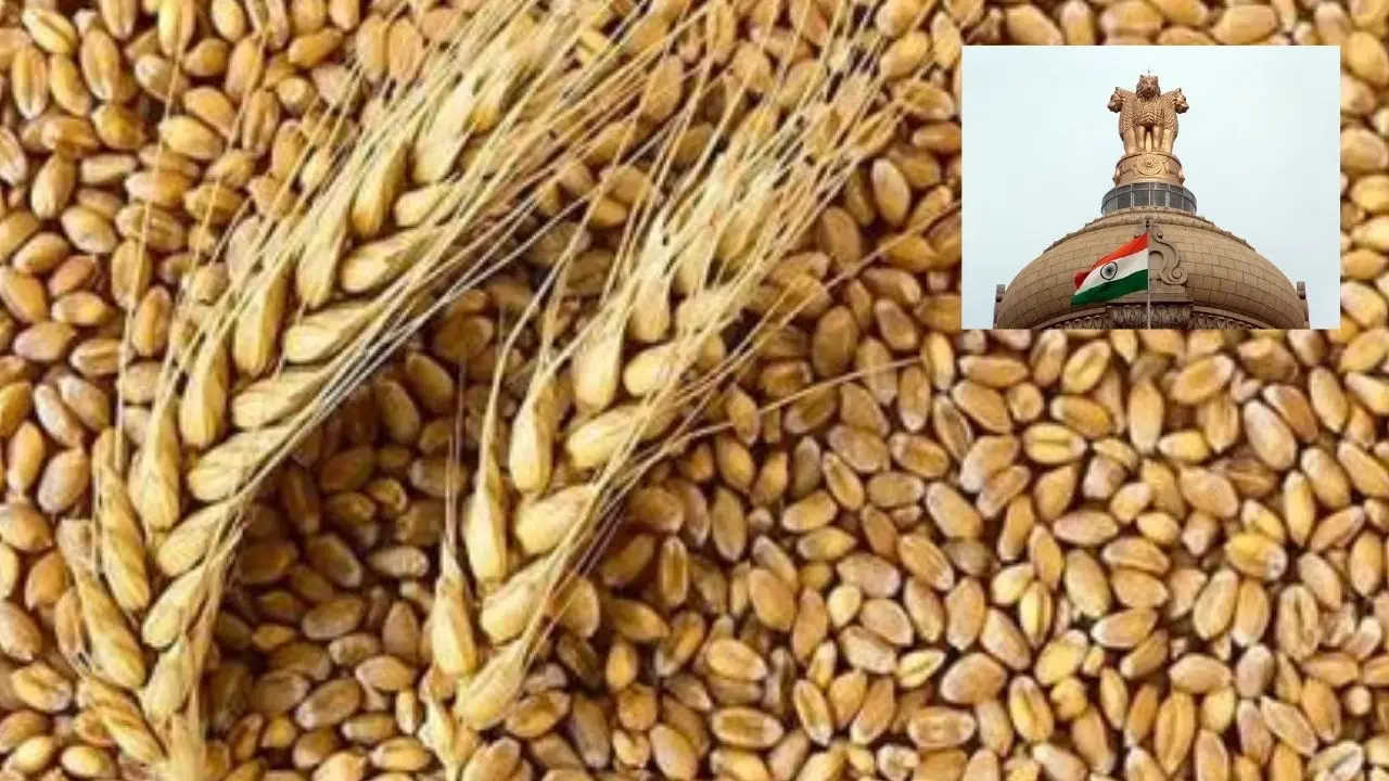 India : గోధుమల ఎగుమతి నిషేధంపై భారత్ సడలింపులు India : గోధుమల ఎగుమతి నిషేధంపై భారత్ సడలింపులు