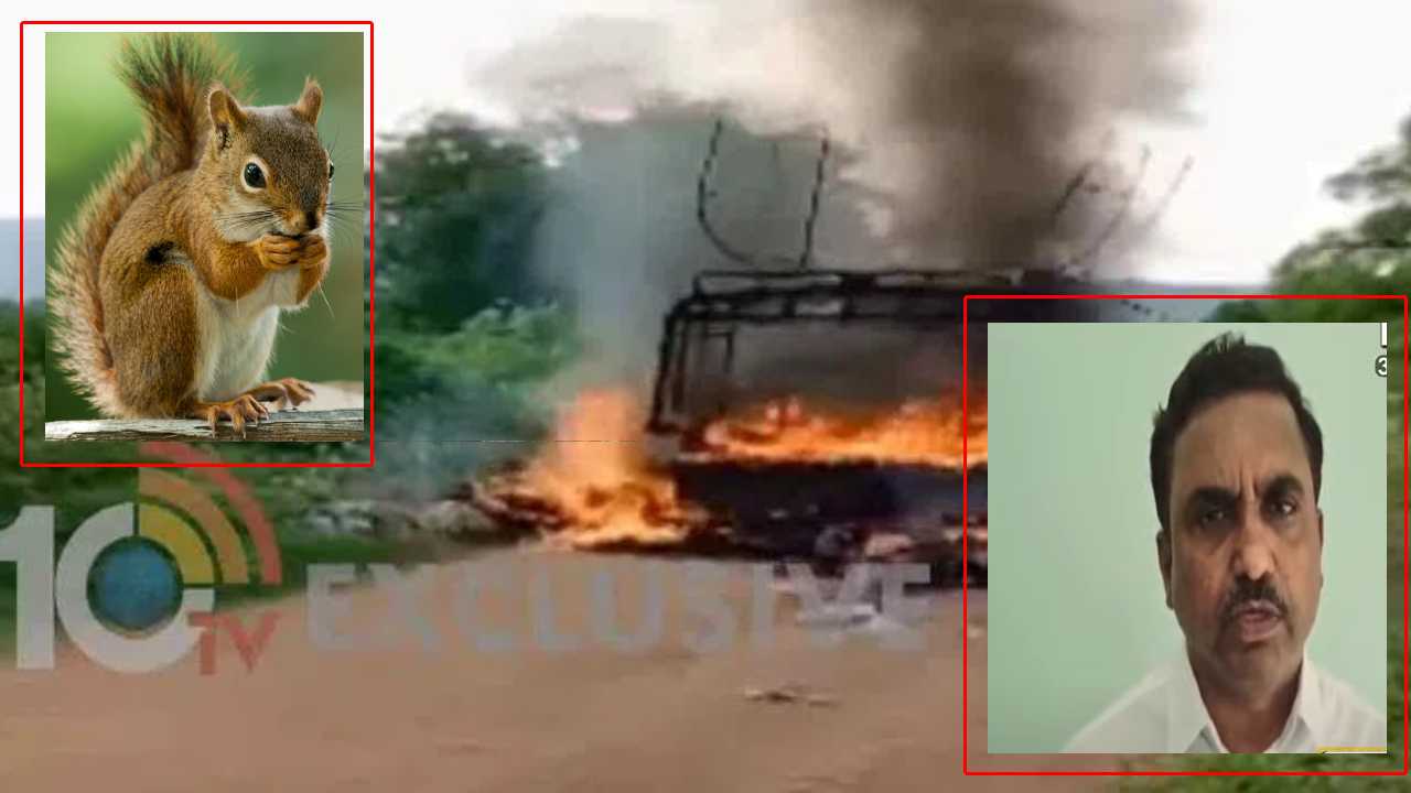 Auto Catches Fire In AP : ఆటో ప్రమాదం పాపం ‘ఉడుత’దే..మా తప్పేమీ లేదు : ఏపీ ఎస్పీడీసీఎల్ సీఎండీ Auto Catches Fire In AP : ఆటో ప్రమాదం పాపం ‘ఉడుత’దే..మా తప్పేమీ లేదు : ఏపీ ఎస్పీడీసీఎల్ సీఎండీ