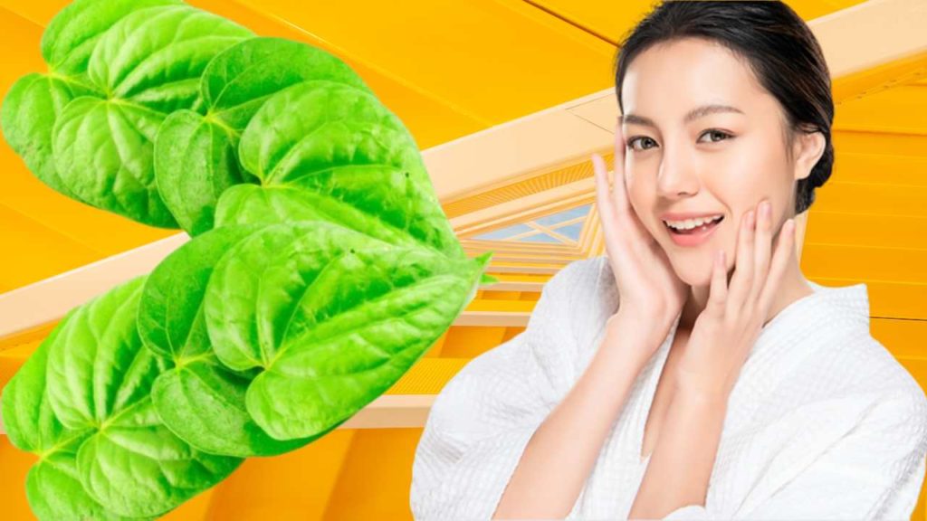 Betel Leafs