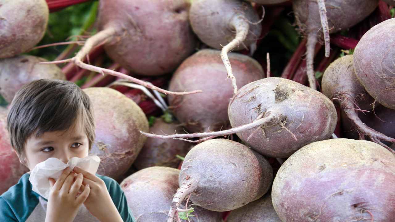 Beat Root : ఇన్ ఫెక్షన్ లకు వ్యతిరేకంగా పోరాడే బీట్ రూట్!