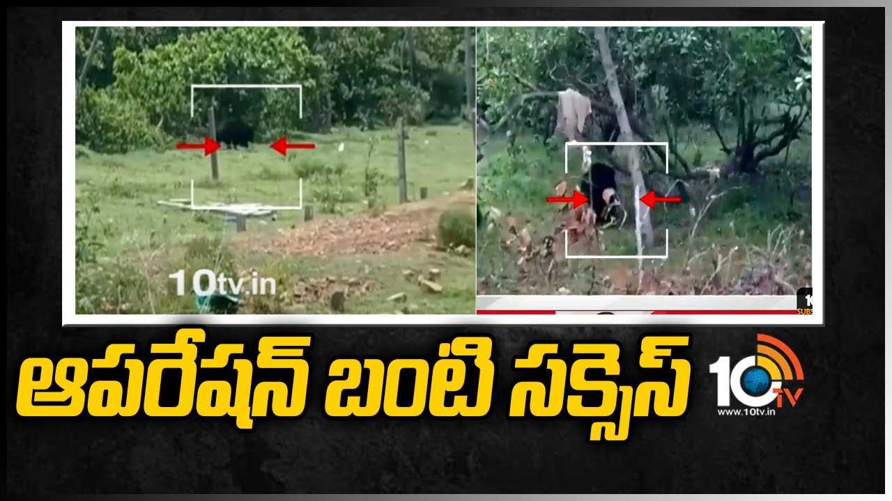 ఆపరేషన్ బంటి సక్సెస్