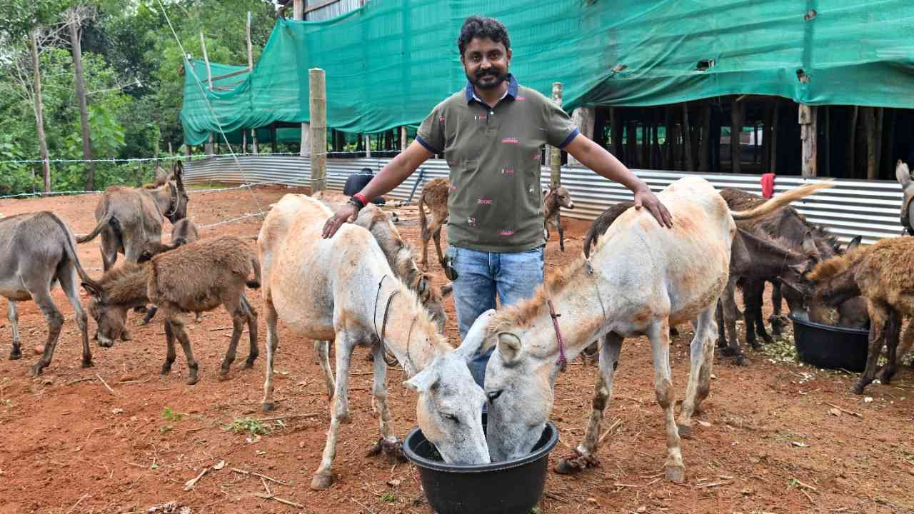 Donkey Milk Farm: ఐటీ జాబ్ వదిలి గాడిద పాల వ్యాపారం Donkey Milk Farm: ఐటీ జాబ్ వదిలి గాడిద పాల వ్యాపారం