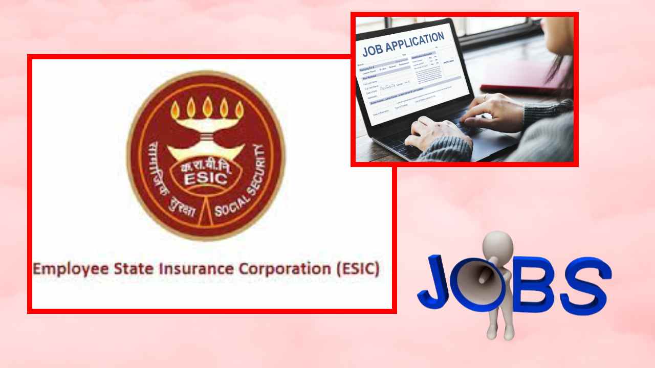 JOBS : ఈఎస్ఐసీ లో స్పెషలిస్ట్ గ్రేడ్ 2 ఖాళీల భర్తీ JOBS : ఈఎస్ఐసీ లో స్పెషలిస్ట్ గ్రేడ్ 2 ఖాళీల భర్తీ