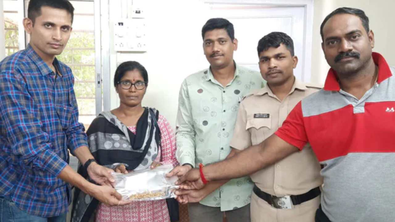 Rats stole Gold: బంగారాన్ని ఎత్తుకెళ్లిన ఎలుకలు.. ఎలా గుర్తించారంటే..