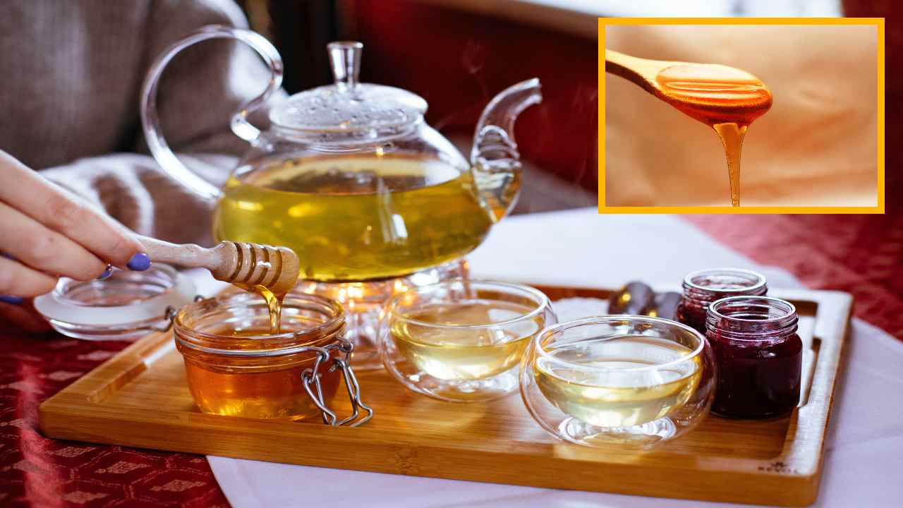 Honey : మలబద్దకం, ఛాతి మంటతోపాటు బరువును తగ్గించే తేనె,నిమ్మరసం! Honey : మలబద్దకం, ఛాతి మంటతోపాటు బరువును తగ్గించే తేనె,నిమ్మరసం!