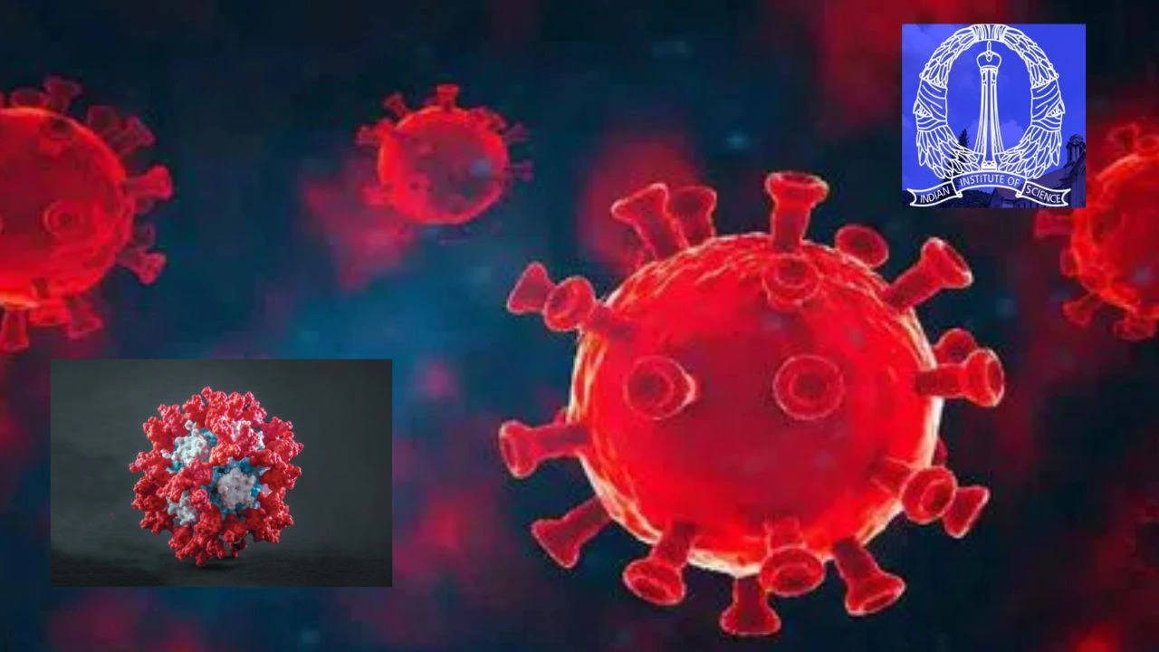 Corona Virus : కరోనా వైరస్ ను కట్టడి చేసే కృత్రిమ ప్రోటీన్ లు Corona Virus : కరోనా వైరస్ ను కట్టడి చేసే కృత్రిమ ప్రోటీన్ లు