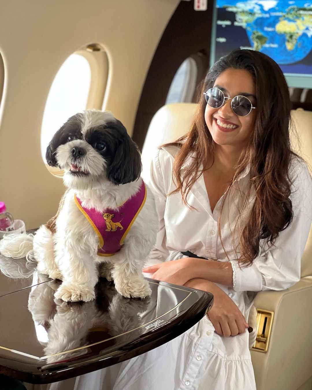 Keerthy suresh with her pet dog in private jet 