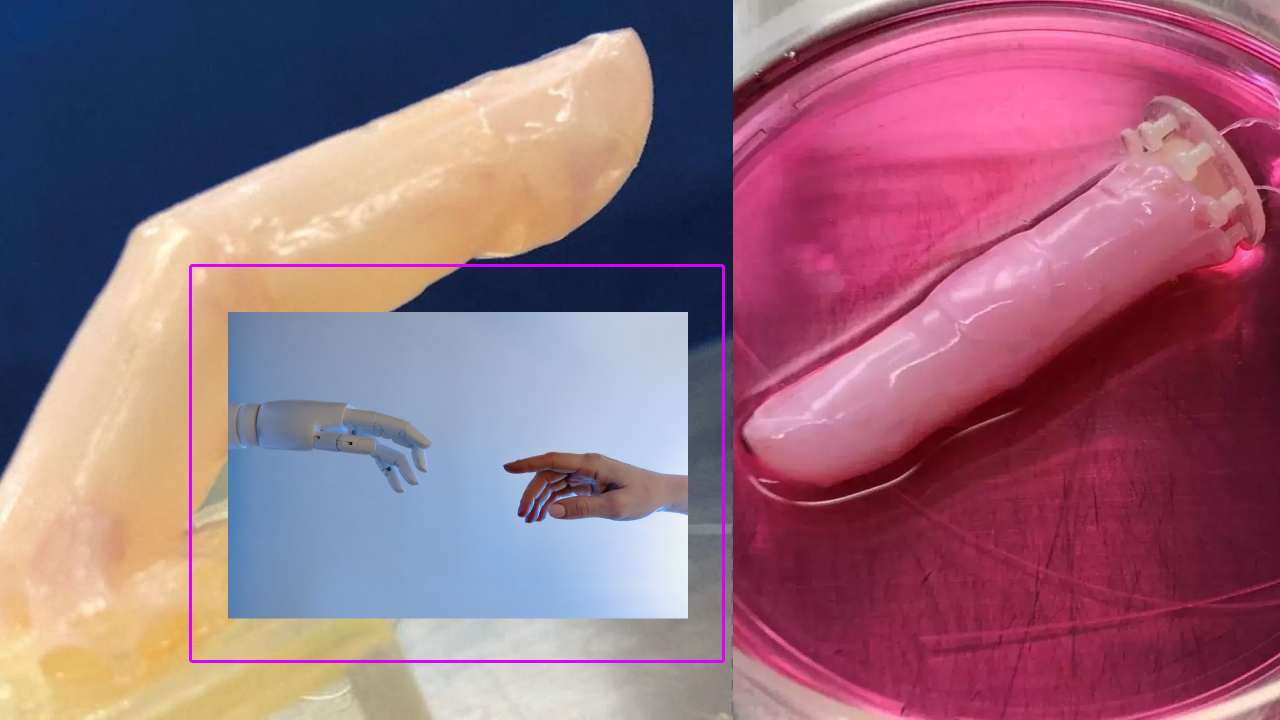 ‘Living’ Skin For Robots : స్పర్శకు స్పందించే రోబో..గాయమైనా దానంతట అదే బాగు చేసుకునే మరమనిషి ‘Living’ Skin For Robots : స్పర్శకు స్పందించే రోబో..గాయమైనా దానంతట అదే బాగు చేసుకునే మరమనిషి