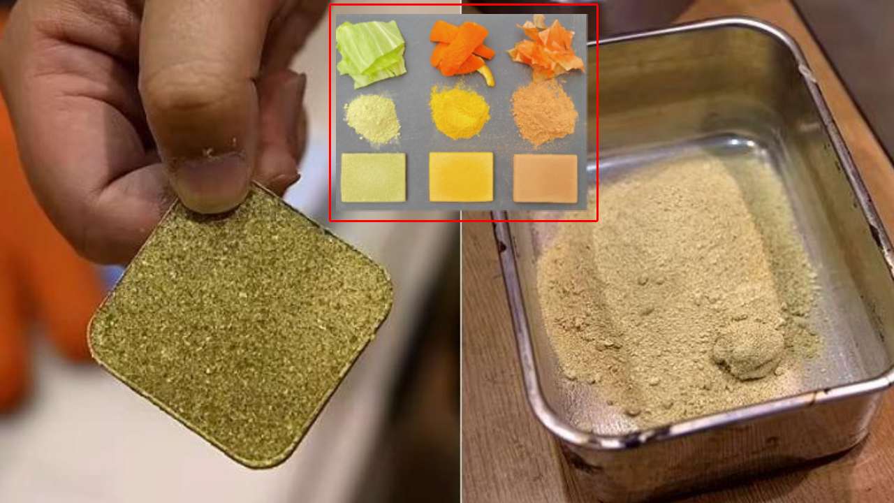Making cement with food waste : ఆహార వ్యర్థాలతో సిమెంట్ తయారు చేసిన శాస్త్రవేత్తలు.. Making cement with food waste : ఆహార వ్యర్థాలతో సిమెంట్ తయారు చేసిన శాస్త్రవేత్తలు..