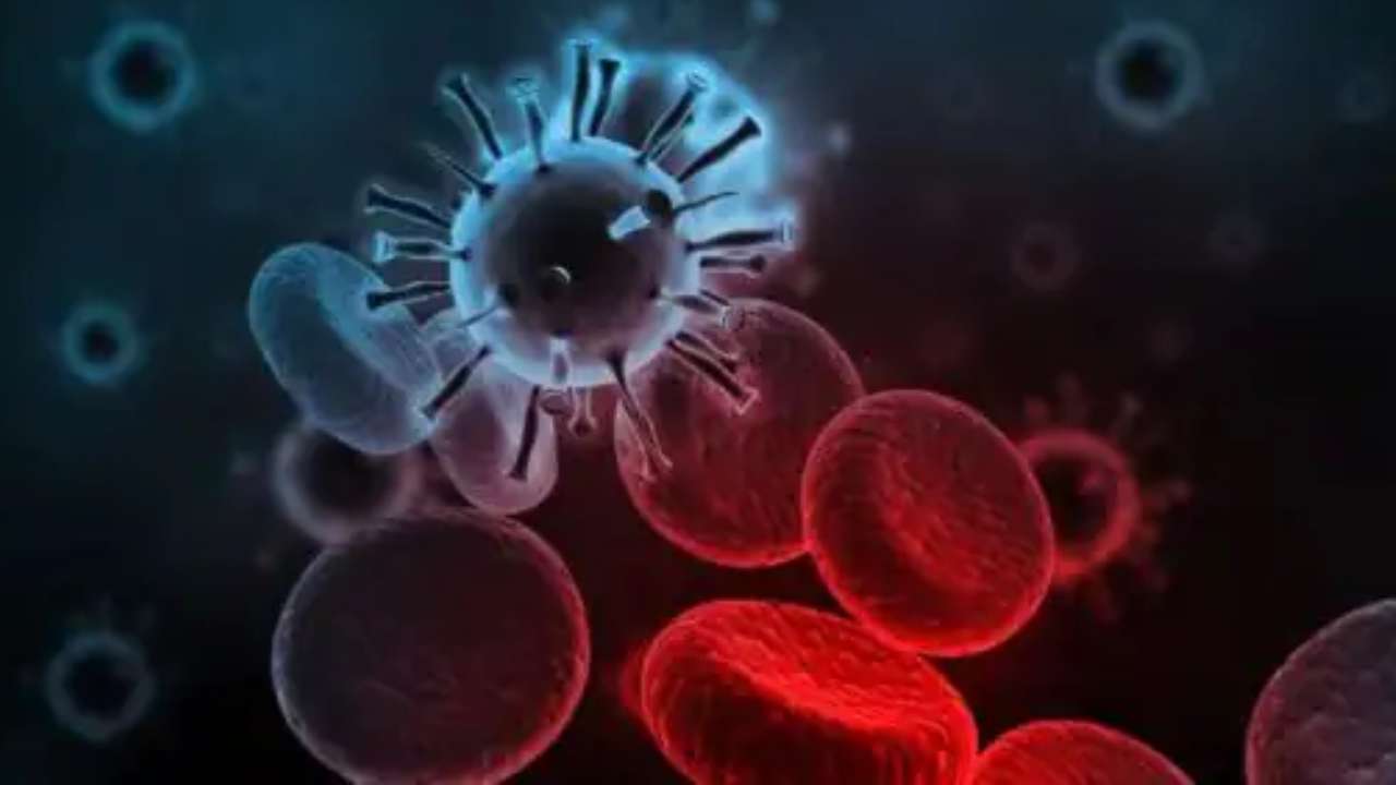 Norovirus: నోరో వైరస్ అంటే ఏమిటి? వైరస్ సోకకుండా ఎలాంటి జాగ్రత్తలు తీసుకోవాలి.. Norovirus: నోరో వైరస్ అంటే ఏమిటి? వైరస్ సోకకుండా ఎలాంటి జాగ్రత్తలు తీసుకోవాలి..