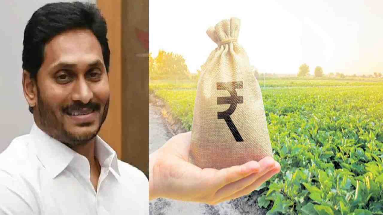 YSR Free Crop Insurance : ఏపీ రైతులకు శుభవార్త- నేడే వైఎస్సార్ ఉచిత పంటల బీమా పరిహారం YSR Free Crop Insurance : ఏపీ రైతులకు శుభవార్త- నేడే వైఎస్సార్ ఉచిత పంటల బీమా పరిహారం