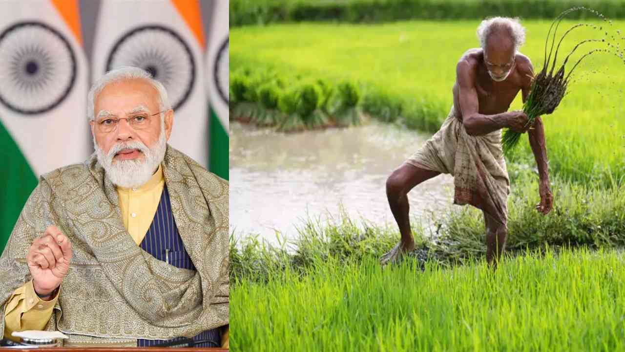 Narendra Modi : రైతులకు కేంద్రం శుభవార్త-కనీస మద్దతు ధర పెంపు Narendra Modi : రైతులకు కేంద్రం శుభవార్త-కనీస మద్దతు ధర పెంపు