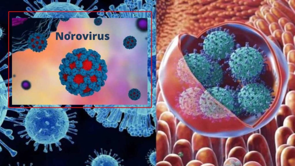 Norovirus In Kerala