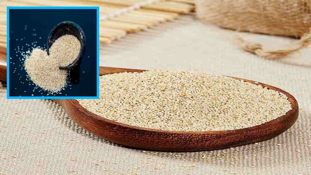 Poppy Seeds (1)