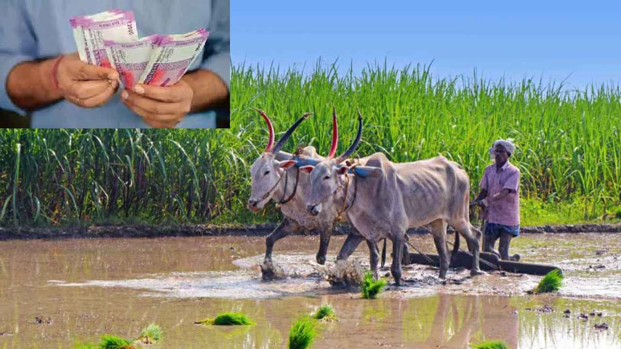 Rythu Bandhu : తెలంగాణ రైతులకు గుడ్న్యూస్.. రేపే ఖాతాల్లోకి డబ్బులు Rythu Bandhu : తెలంగాణ రైతులకు గుడ్న్యూస్.. రేపే ఖాతాల్లోకి డబ్బులు