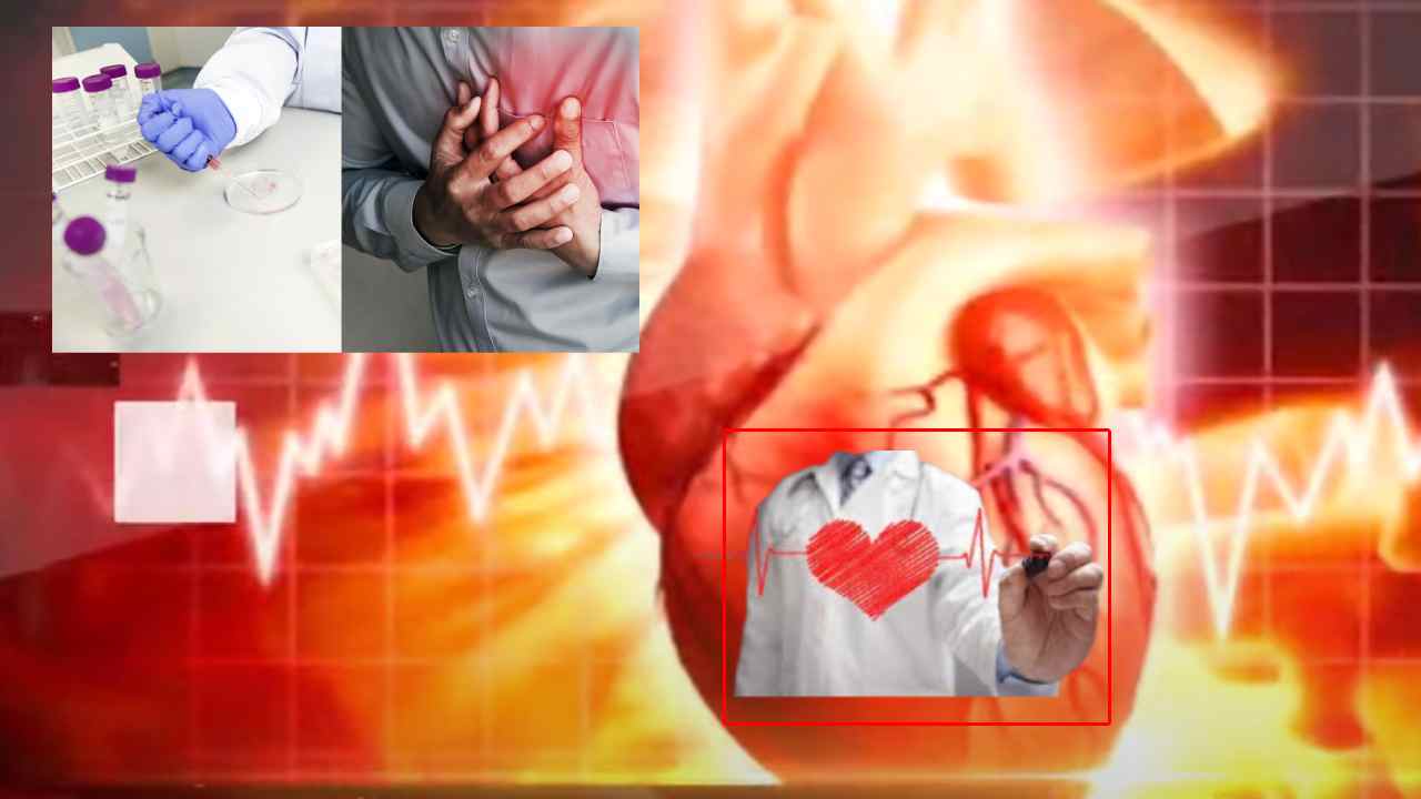 Heart Gel : ఒక్క జెల్తో గుండె సమస్యలకు పరిష్కారం..UK పరిశోధకుల ఘనత Heart Gel : ఒక్క జెల్తో గుండె సమస్యలకు పరిష్కారం..UK పరిశోధకుల ఘనత