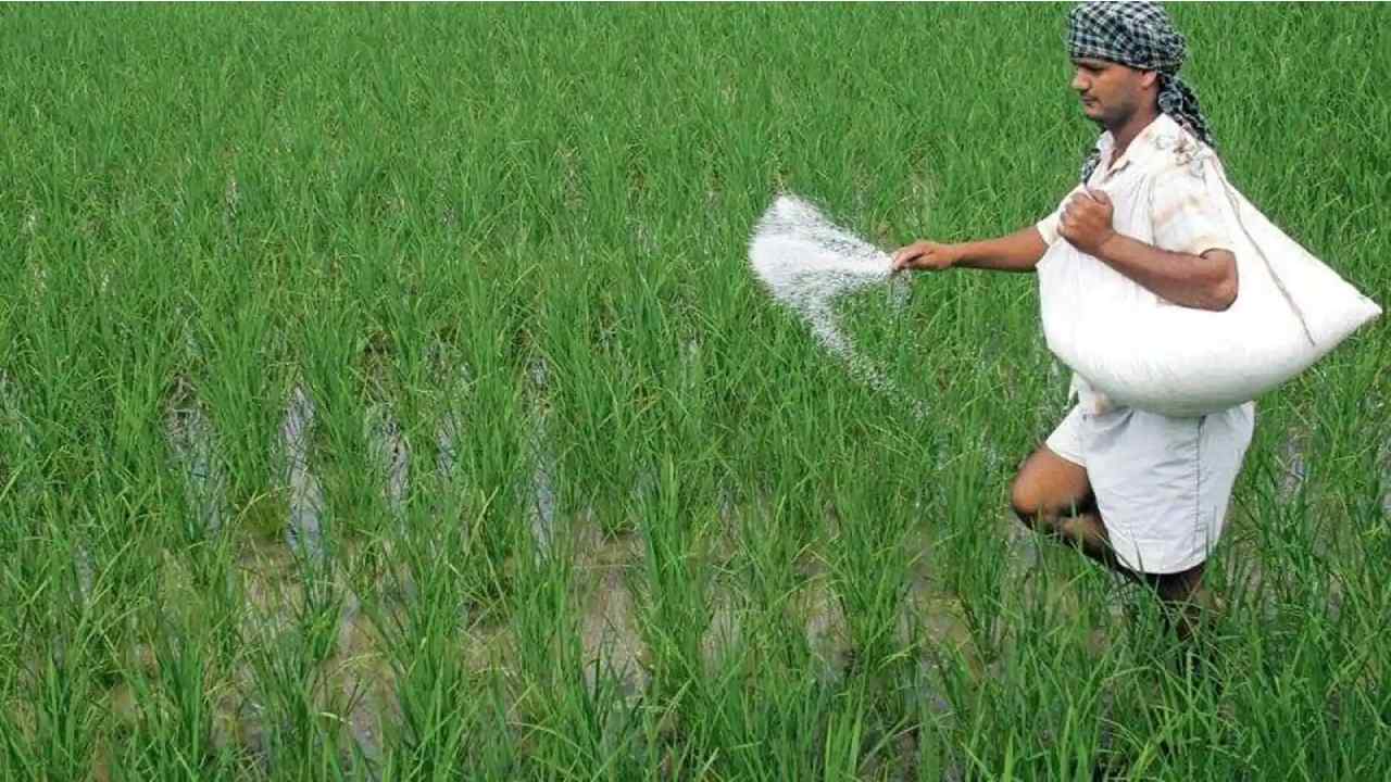 Urea: అమెరికా నుంచి యూరియా దిగుమతులు పెంపు Urea: అమెరికా నుంచి యూరియా దిగుమతులు పెంపు