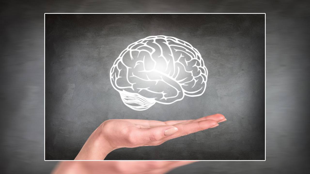 Brain Health: మెదడు ఆరోగ్యాన్ని మెరుగుపరిచే 10 మార్గాలు Brain Health: మెదడు ఆరోగ్యాన్ని మెరుగుపరిచే 10 మార్గాలు
