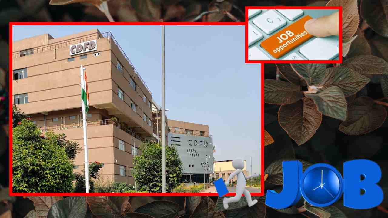 CDFD JOBS : సీడీఎఫ్ డీలో ప్రాజెక్ట్ స్టాఫ్ భర్తీ CDFD JOBS : సీడీఎఫ్ డీలో ప్రాజెక్ట్ స్టాఫ్ భర్తీ