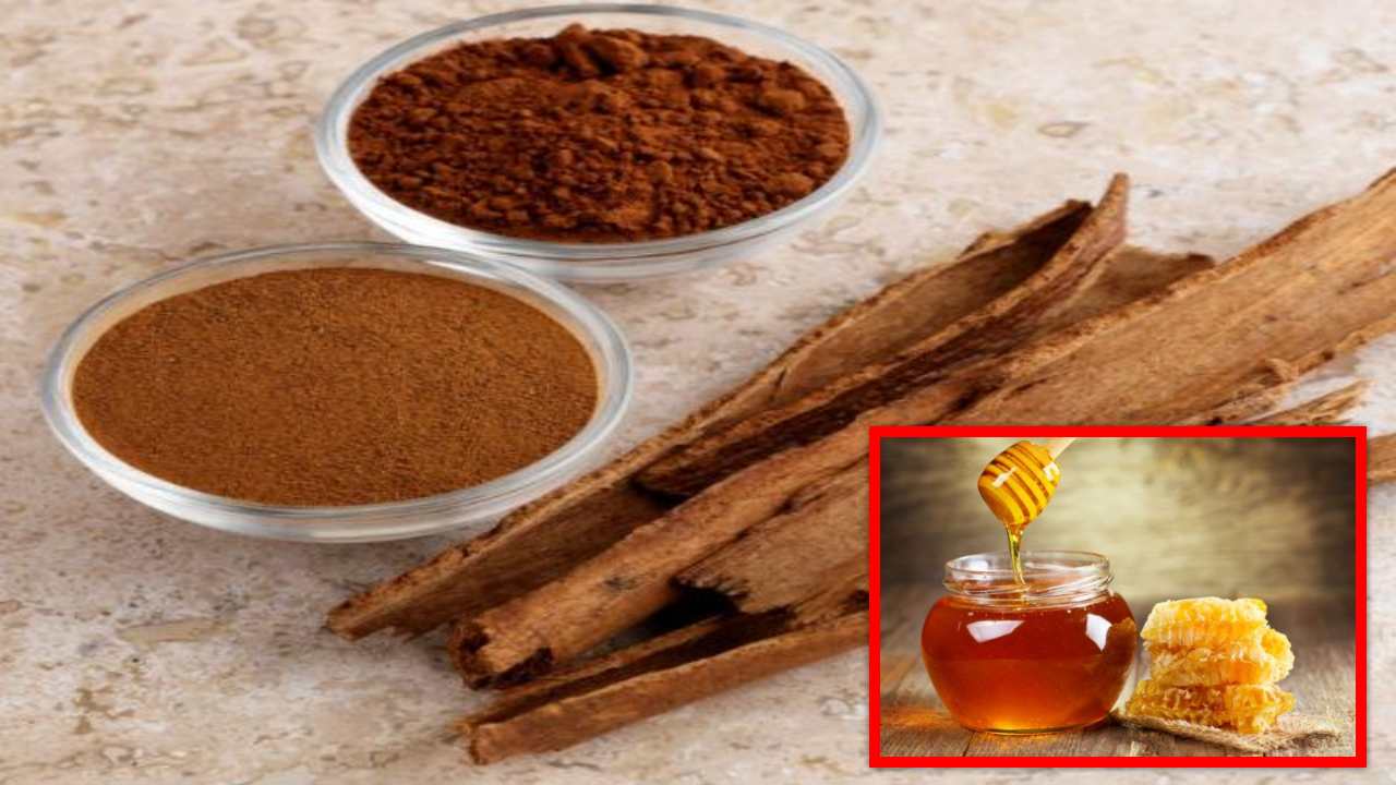 Health Benefits : దాల్చిన చెక్క, తేనెతో ఆరోగ్యప్రయోజనాలు బోలెడు! Health Benefits : దాల్చిన చెక్క, తేనెతో ఆరోగ్యప్రయోజనాలు బోలెడు!