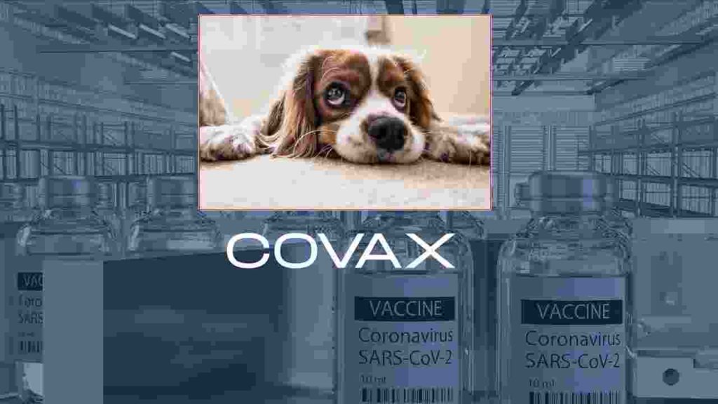 Covax