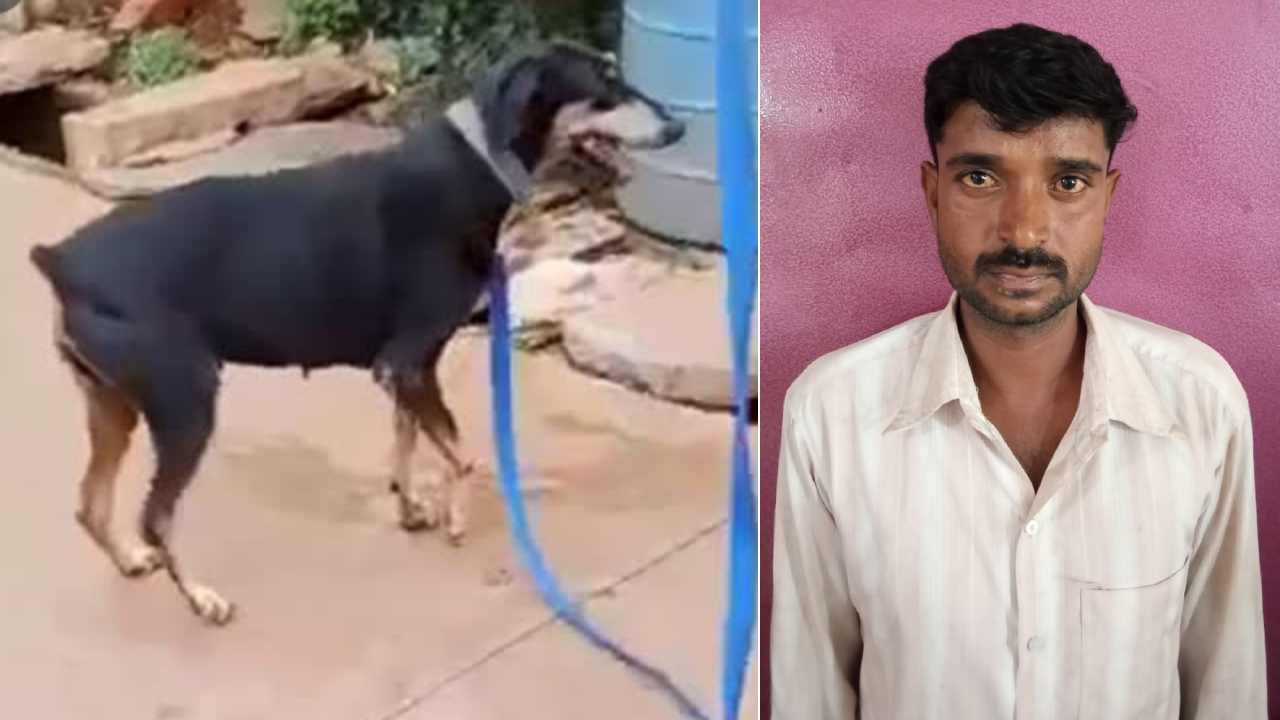 Karnataka Crime : హత్యాచార కేసును ఛేదించి..నిందితుడిని పట్టించిన కుక్క Karnataka Crime : హత్యాచార కేసును ఛేదించి..నిందితుడిని పట్టించిన కుక్క