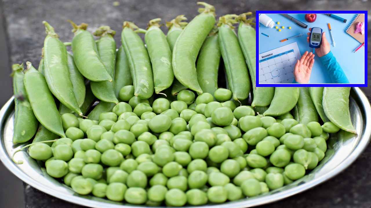 Green Peas : పచ్చిబాఠానీలు షుగర్ వెలవల్స్ ను అదుపులో ఉంచుతాయా? Green Peas : పచ్చిబాఠానీలు షుగర్ వెలవల్స్ ను అదుపులో ఉంచుతాయా?