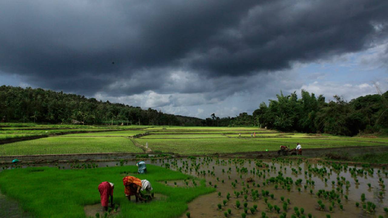 Normal Monsoons: ఈ ఏడాది సాధారణంగానే రుతుపవనాలు, వర్షపాతం Normal Monsoons: ఈ ఏడాది సాధారణంగానే రుతుపవనాలు, వర్షపాతం