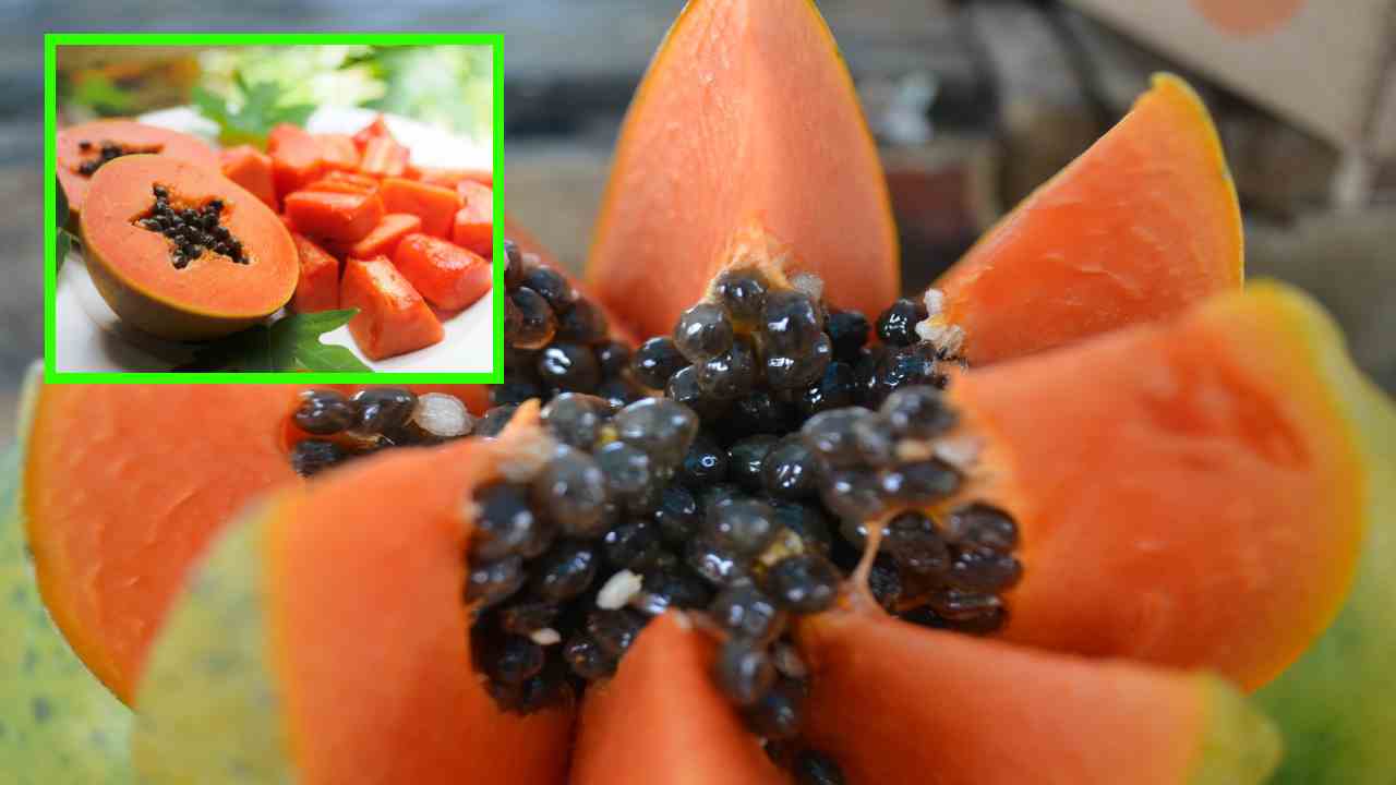 Papaya : బరువు తగ్గించటంతోపాటు, జీర్ణప్రక్రియను వేగవంతం చేసే బొప్పాయి! Papaya : బరువు తగ్గించటంతోపాటు, జీర్ణప్రక్రియను వేగవంతం చేసే బొప్పాయి!