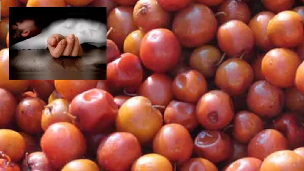 Plum Fruits