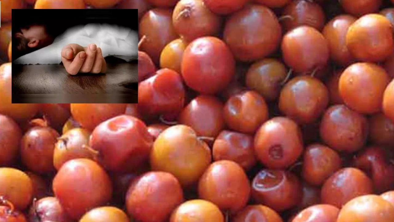 Child Died : రేగు పండ్లు తిని చిన్నారి మృతి Child Died : రేగు పండ్లు తిని చిన్నారి మృతి
