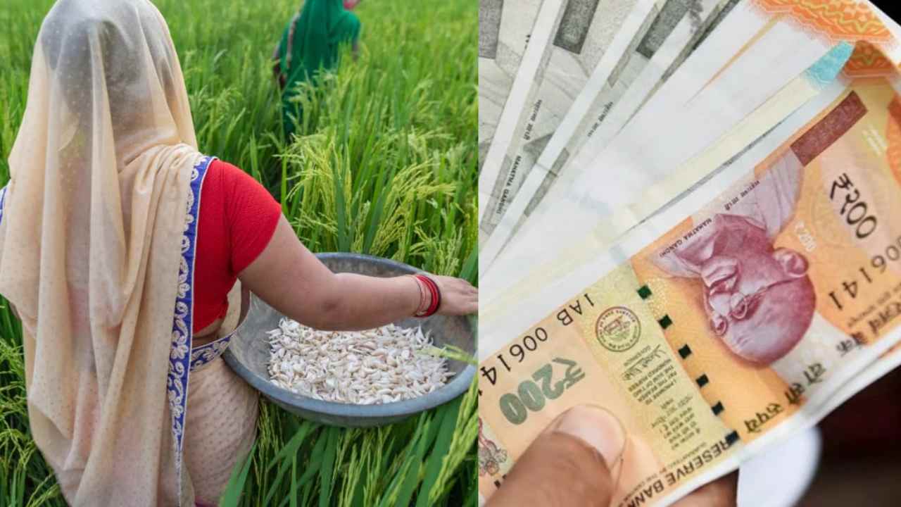 PM kisan Scheme: మీ ఖాతాలో పీఎం కిసాన్ నగదు జమకాలేదా?.. ఈ ఐదు తప్పులు సరిచేసుకోండి PM kisan Scheme: మీ ఖాతాలో పీఎం కిసాన్ నగదు జమకాలేదా?.. ఈ ఐదు తప్పులు సరిచేసుకోండి