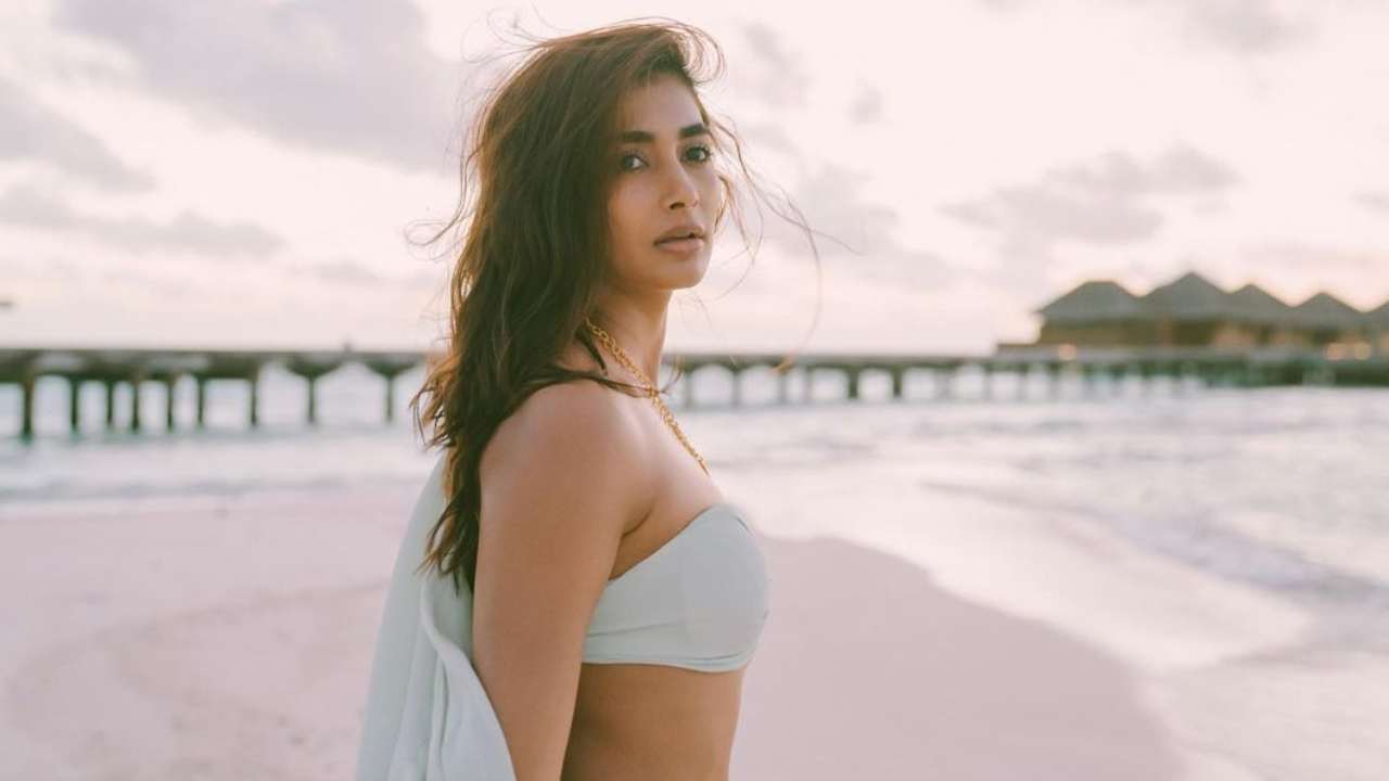 Pooja Hegde : తిరుగులేని బుట్టబొమ్మ.. సినిమా రిజల్ట్తో సంబంధం లేకుండా వరుస అవకాశాలు.. Pooja Hegde : తిరుగులేని బుట్టబొమ్మ.. సినిమా రిజల్ట్తో సంబంధం లేకుండా వరుస అవకాశాలు..