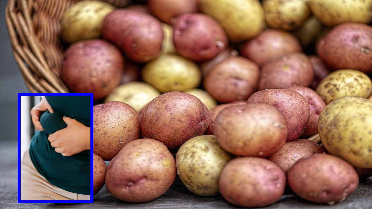 Potatoes : బంగాళ దుంపలు తింటే బరువు పెరుగుతారా? Potatoes : బంగాళ దుంపలు తింటే బరువు పెరుగుతారా?