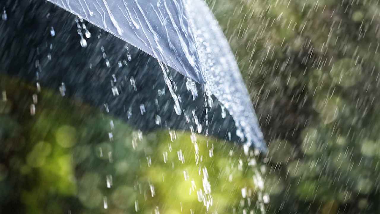 Rains : తెలంగాణలో పలు జిల్లాల్లో నేడు వర్షాలు Rains : తెలంగాణలో పలు జిల్లాల్లో నేడు వర్షాలు