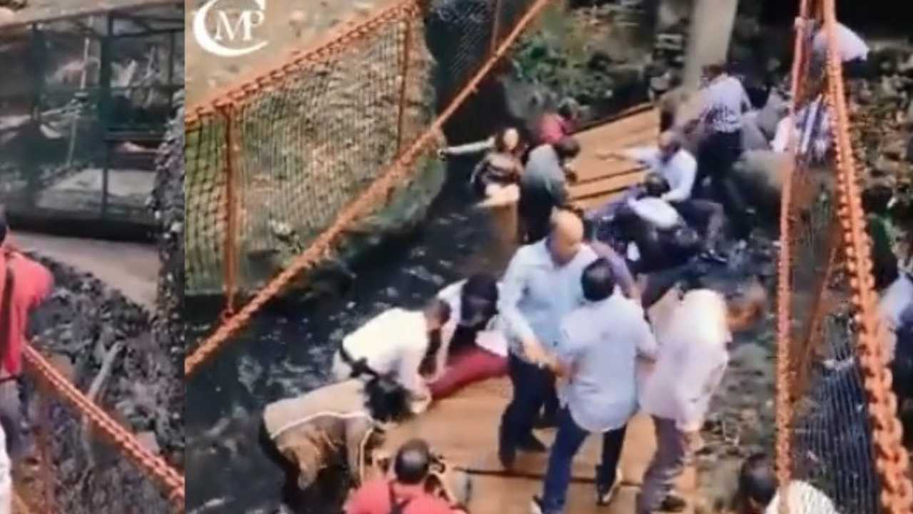 Mexico: మెక్సికోలో కుప్పకూలిన కొత్త బ్రిడ్జి.. మురుగు కాలువలో పడ్డ 20 మంది.. వీడియో Mexico: మెక్సికోలో కుప్పకూలిన కొత్త బ్రిడ్జి.. మురుగు కాలువలో పడ్డ 20 మంది.. వీడియో