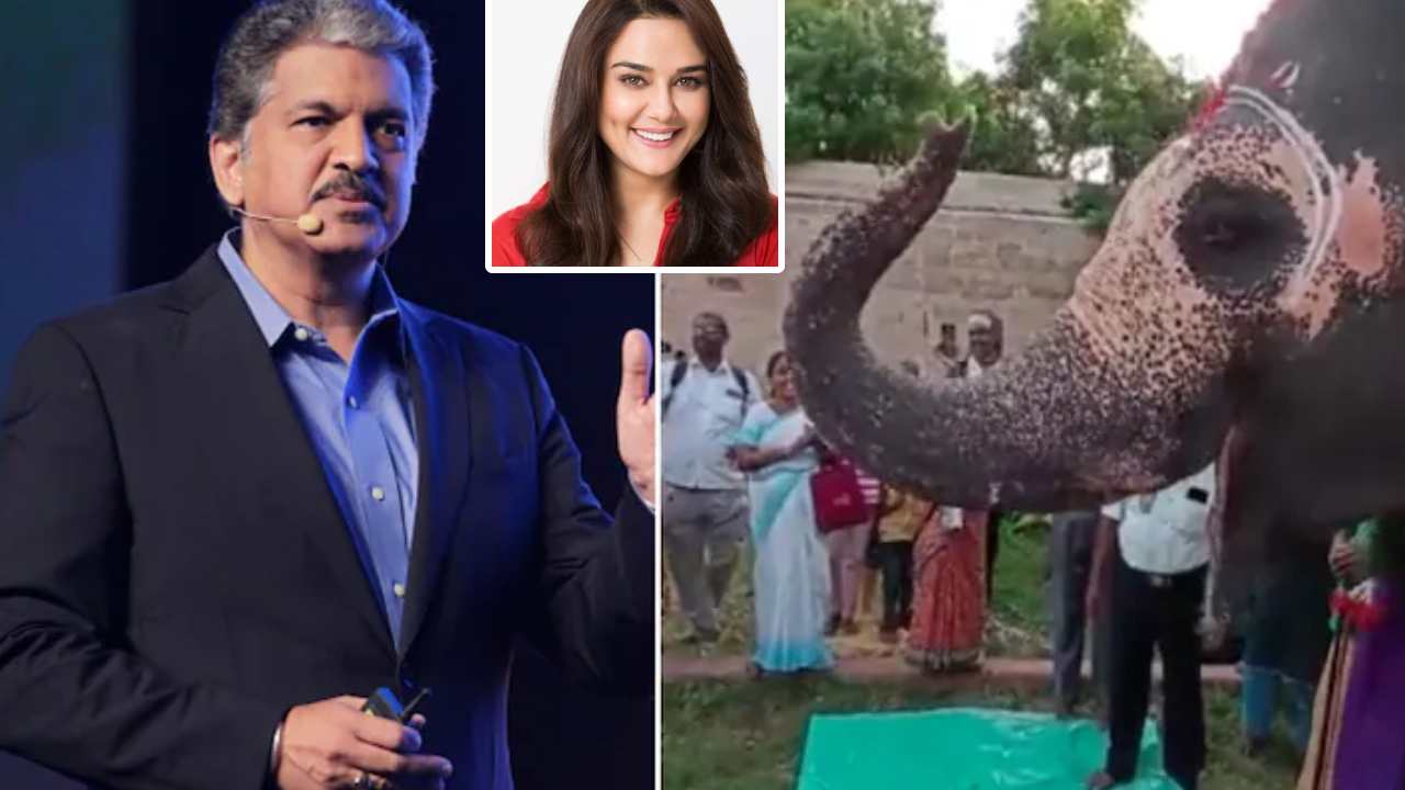 Viral Video: పుట్టిన రోజు వేడుకలు జరుపుకున్న ఏనుగు.. వీడియో పోస్టు చేసిన ఆనంద్ మహింద్రా.. ప్రీతి జింటా ఏమందంటే.. Viral Video: పుట్టిన రోజు వేడుకలు జరుపుకున్న ఏనుగు.. వీడియో పోస్టు చేసిన ఆనంద్ మహింద్రా.. ప్రీతి జింటా ఏమందంటే..