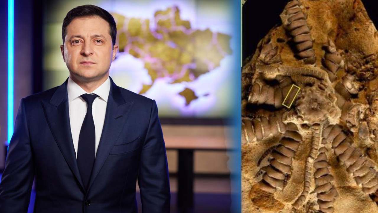 Zelensky : 150 మిలియన్ ఏళ్ల నాటి పురాతన సముద్ర జీవికి జెలెన్ స్కీ పేరు Zelensky : 150 మిలియన్ ఏళ్ల నాటి పురాతన సముద్ర జీవికి జెలెన్ స్కీ పేరు