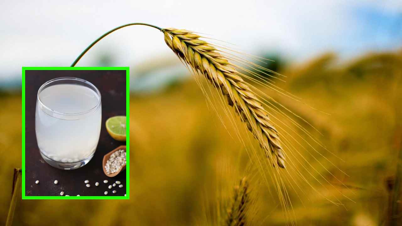 Barley Water : బరువును తగ్గించే బార్లీ వాటర్! Barley Water : బరువును తగ్గించే బార్లీ వాటర్!
