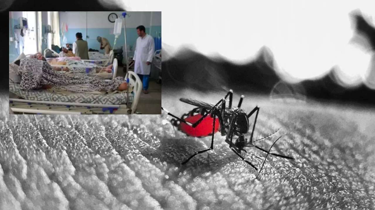 Black fever in Bengal : బెంగాల్లో ‘బ్లాక్ ఫీవర్’ కలవరం..11 జిల్లాల్లో 65 కేసులు నమోదు Black fever in Bengal : బెంగాల్లో ‘బ్లాక్ ఫీవర్’ కలవరం..11 జిల్లాల్లో 65 కేసులు నమోదు