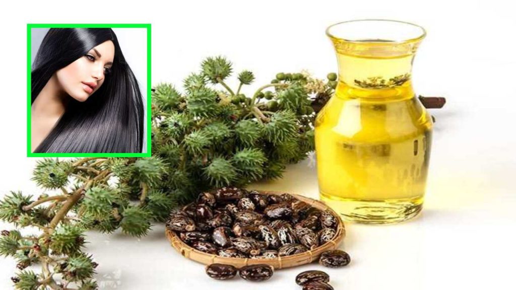 Castor Oil